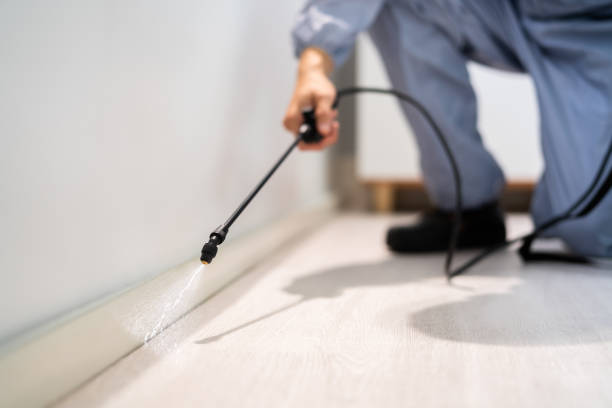Licensed Termite Control service in Accokeek, MD - Nex Pest Control