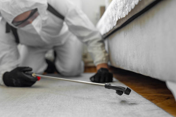Professional Termite Control technician working in Accokeek, MD