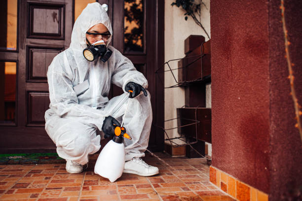 Reliable Termite Control contractor in Accokeek, MD by Nex Pest Control