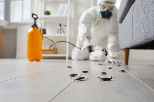Trusted Fumigation Services service in Accokeek, MD - Nex Pest Control