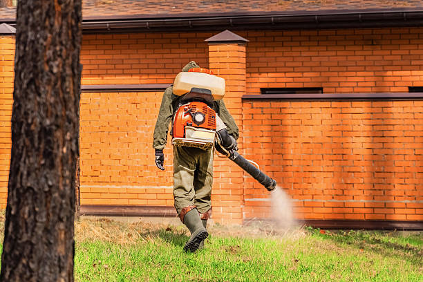 Trusted Bed Bug Control service in Accokeek, MD - Nex Pest Control